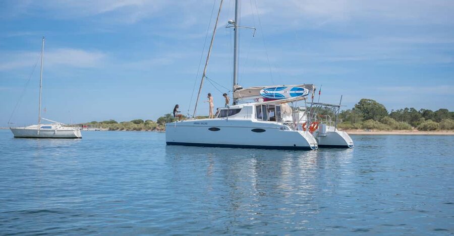 Tavira: Passeio Half Day - Praia do Barril: Where Swimming and Stand-Up Paddle Take Center Stage