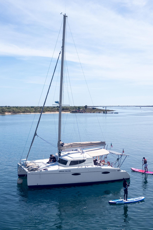 Tavira: Passeio Half Day - Stand-Up Paddle in Clear, Calm Water: Fun You Can Start Fast