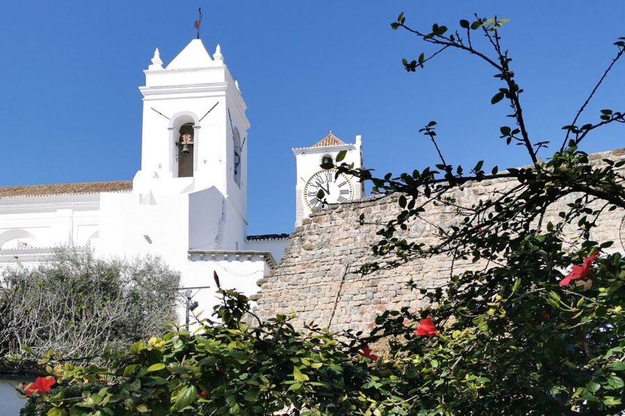 Tavira Total Tuk Tuk Tour: Tavira Tour & Tuna Museum Visit - Electric tuk-tuk + private pacing: who this fits best