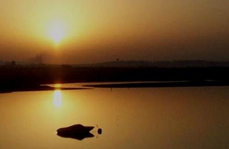 The Colors of Ria Formosa: Sunset Boat Trip in Faro - Key things I’d bet you’ll care about