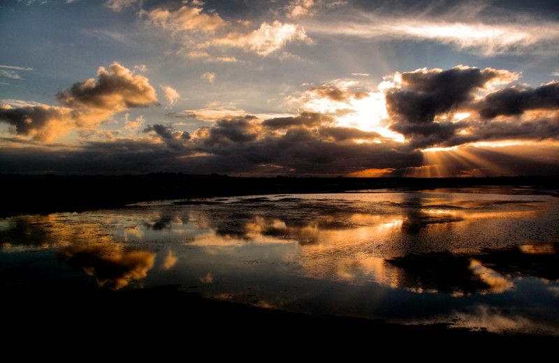 The Colors of Ria Formosa: Sunset Boat Trip in Faro - The Parque Natural da Ria Formosa: what you’ll actually see