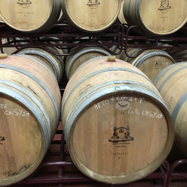 The Real Algarve: 2 Boutique Wineries & Silves Tour - Key things that make this tour worth your time