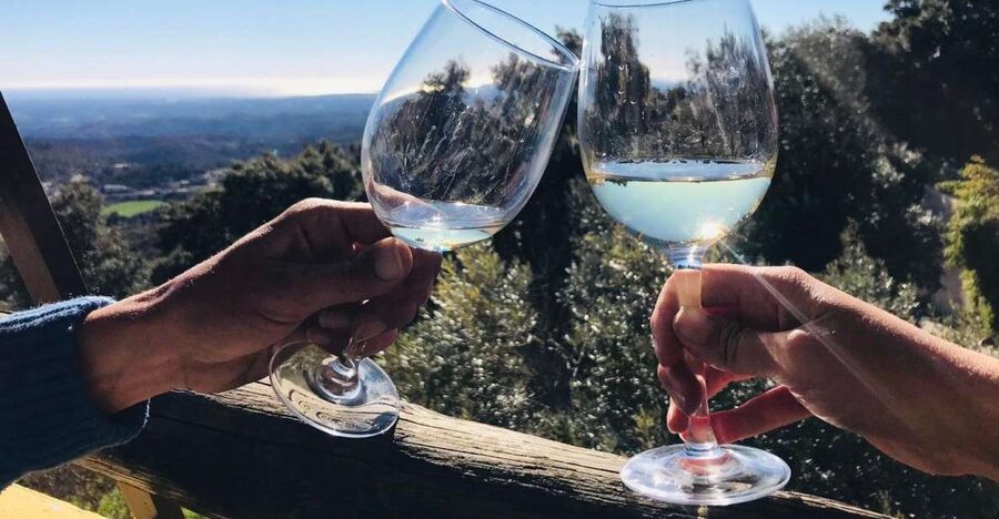 The Real Algarve: 2 Boutique Wineries & Silves Tour - Two boutique wineries plus medieval Silves, all in one 7-hour day