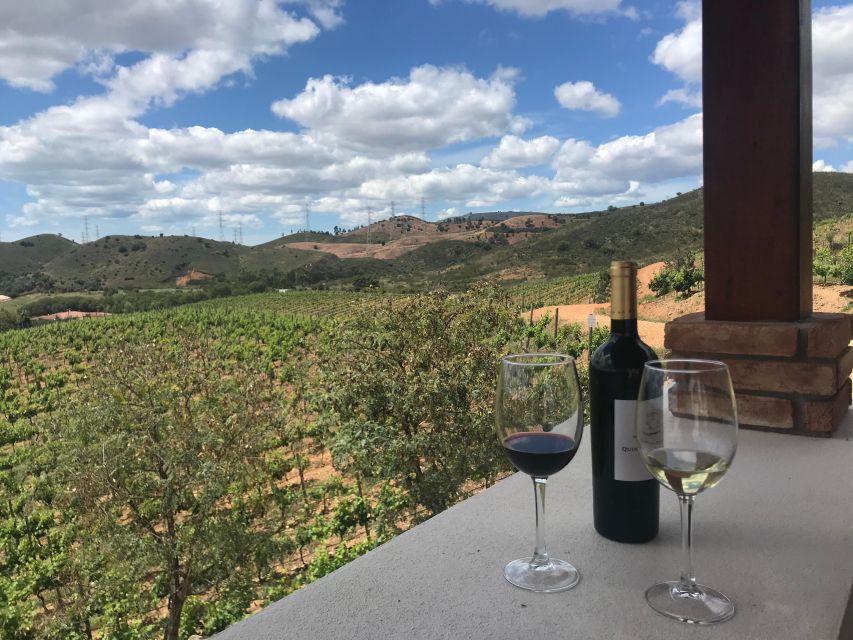 The Real Algarve: 2 Boutique Wineries & Silves Tour - The guides make the day: Carlos, João, Cátia, and the story behind the grapes