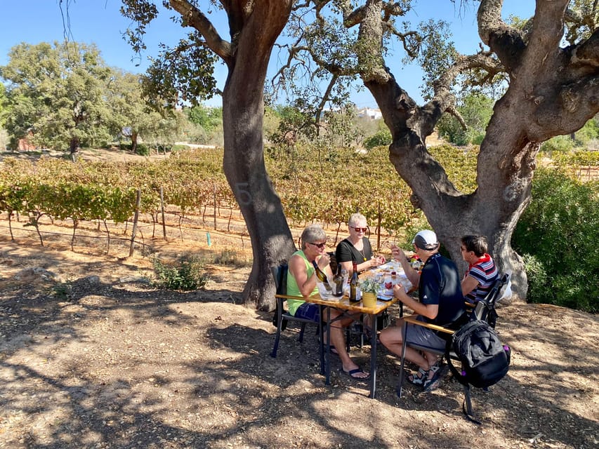 Vilamoura, Albufeira, Lagos: Algarve Mountains Private Tour - How Private Transport Makes the Day Work (and Who Paulo Is)