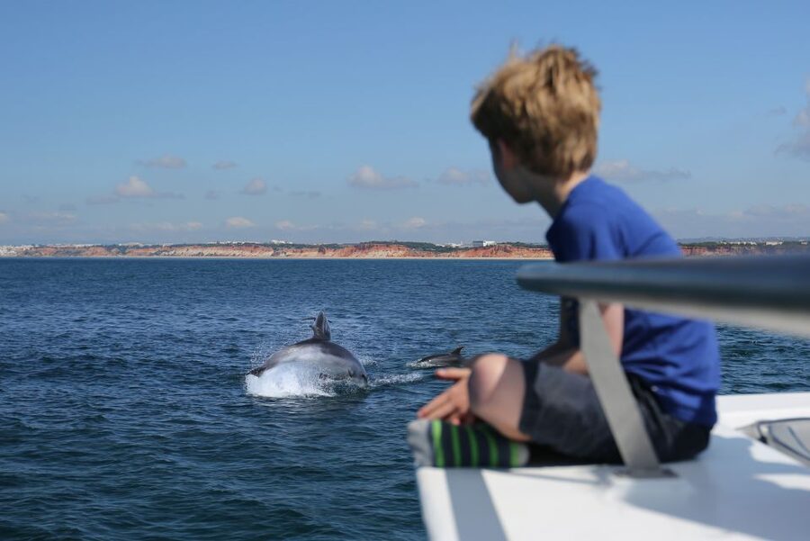 Vilamoura: Boat Tour Dolphin Quest & Marine Life Search - Vilamoura Dolphin Quest: what this trip is really about