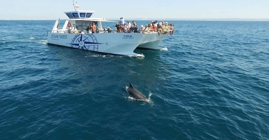 Vilamoura: Boat Tour Dolphin Quest & Marine Life Search - The 2-hour dolphin search: how the day unfolds on the water