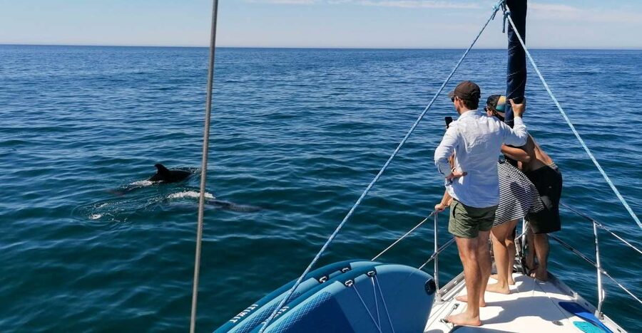 Vilamoura: Coastal Cruise on a Luxury Sailing Yacht - Where to Meet: Pontoon Q and Blue Marlin Clues