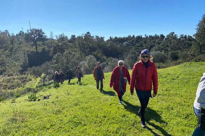 Walk in the Hills with Goat Herder-Local Honey, Wine and Cheese Tasting - Why the Private Tour Format Feels Worth It