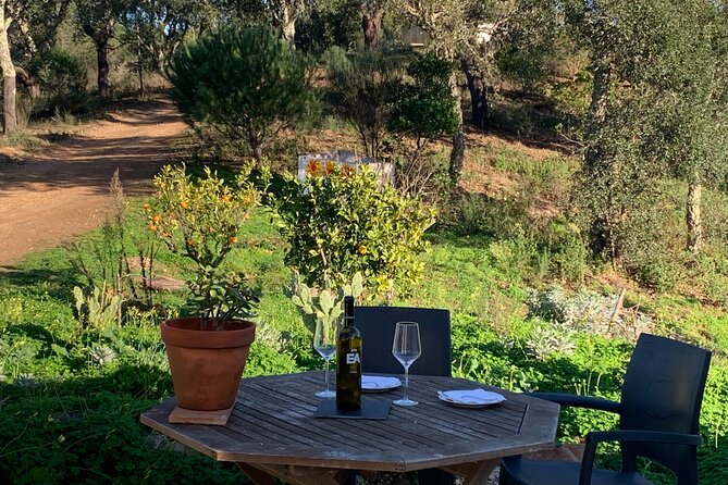 Walk in the Hills with Goat Herder-Local Honey, Wine and Cheese Tasting - What the 2-Hour Goat Herder Walk Is Really Like