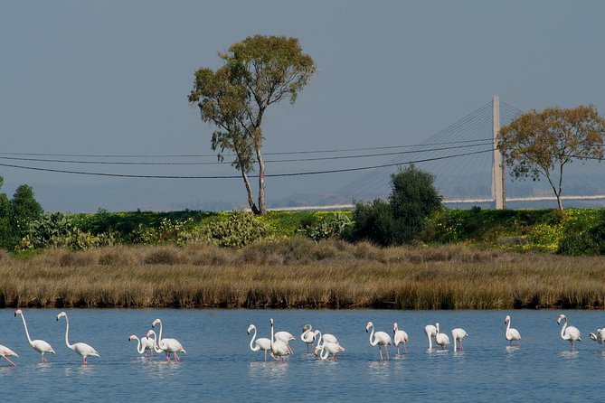 Walking in Tavira: The Venice Of Algarve - Day 5: walk to Spain via the Guadiana frontier