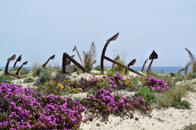 Walking in Tavira: The Venice Of Algarve - Day 6 and Day 7: Fuzeta saltpans to Tavira, then Santa Luzia beach holiday