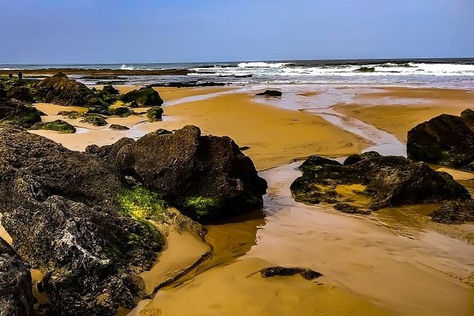 Wild and Wonderful West Coast Full Day Tour - How the pacing works for real life (and real photos)