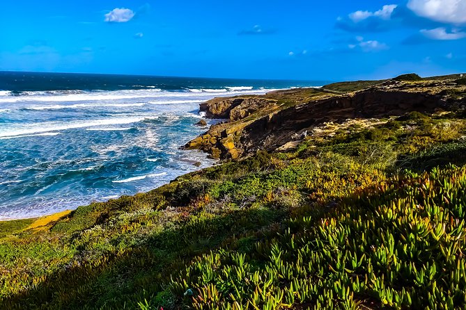 Wild and Wonderful West Coast Full Day Tour - Price and value: what $107.63 buys you on this route