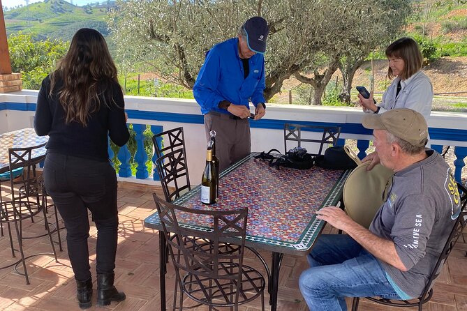 Wine Not Algarve Winery Tour - Quinta dos Vales: award-winning setting with sculptures and optional tastings