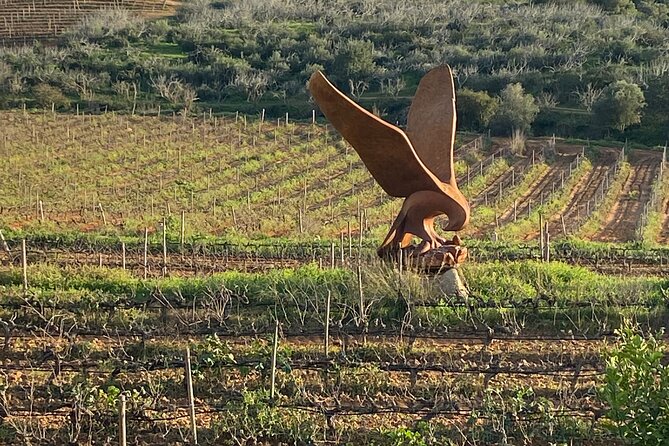Wine Not Algarve Winery Tour - Who this tour fits best (and who might want something else)