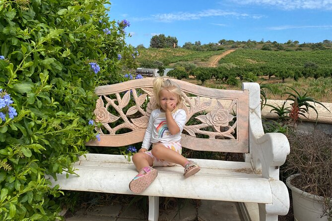 Wine Not Algarve Winery Tour - Should you book Wine Not Algarve Winery Tour?