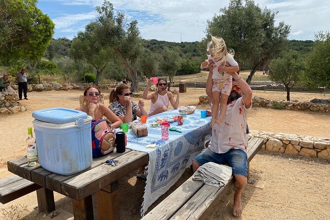 Wine Not Algarve Winery Tour - Quinta do Frances Winery: a three-wine sample and scenic grounds