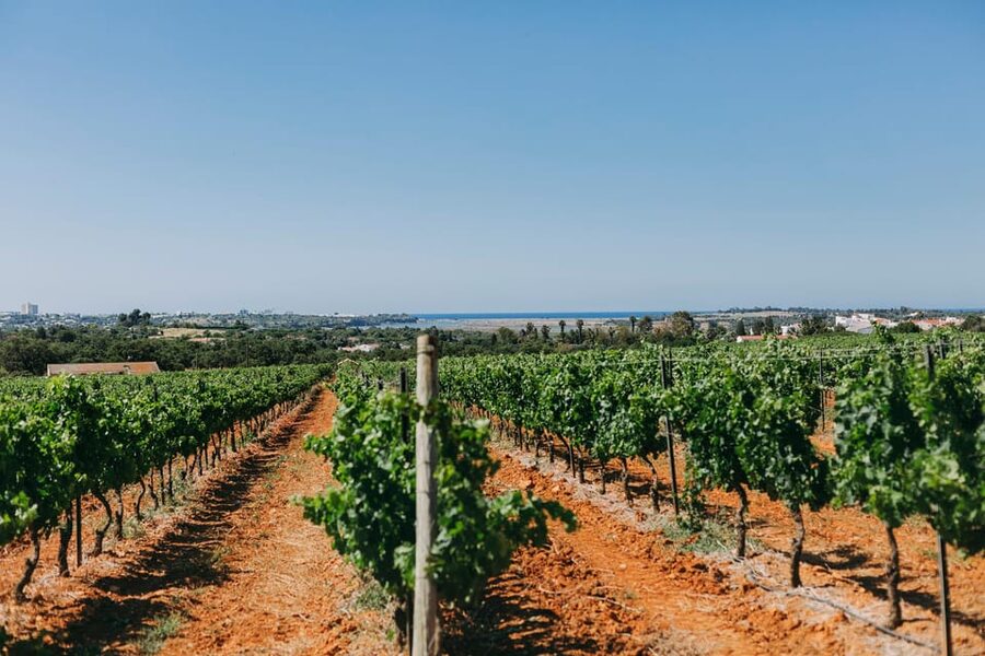 Wine Tasting Off-Road Tour - Key Points You’ll Actually Care About