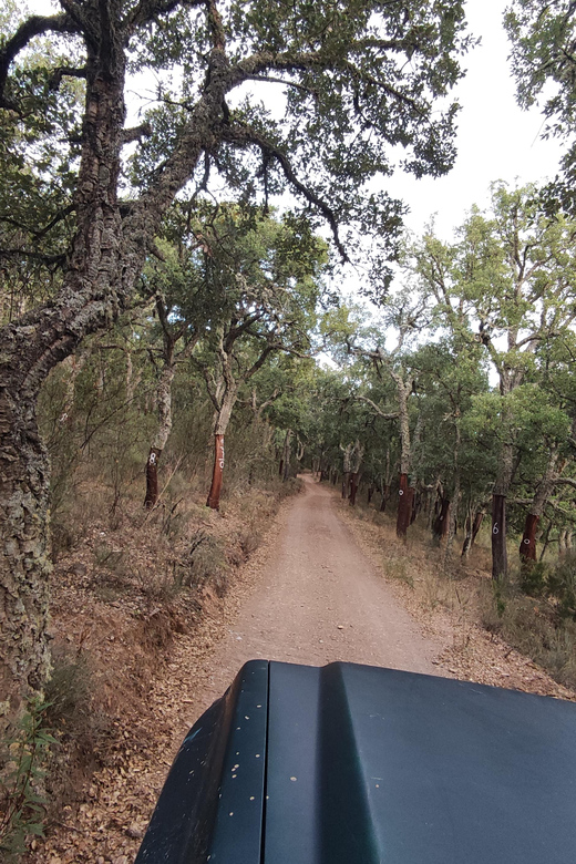 Wine Tasting Off-Road Tour - The 30-Minute Barragem Visit and the Short Walk