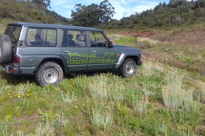 Wine Tasting & Tapas 4x4 Tours - Timing and pacing: how 4.5 hours can still feel like a full day