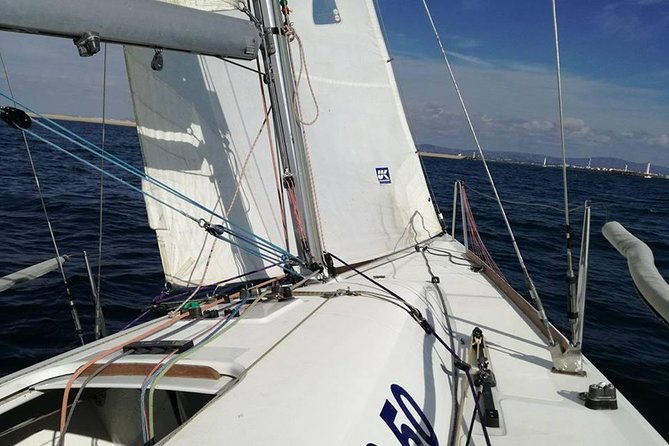 Your first experience Sailing - Private Trip in Ria Formosa - Private sailing in Ria Formosa: what makes it special