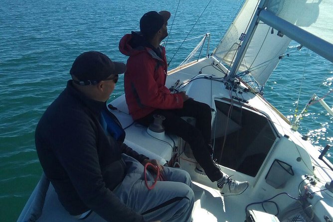 Your first experience Sailing - Private Trip in Ria Formosa - Wildlife spotting that doesn’t feel like a checklist